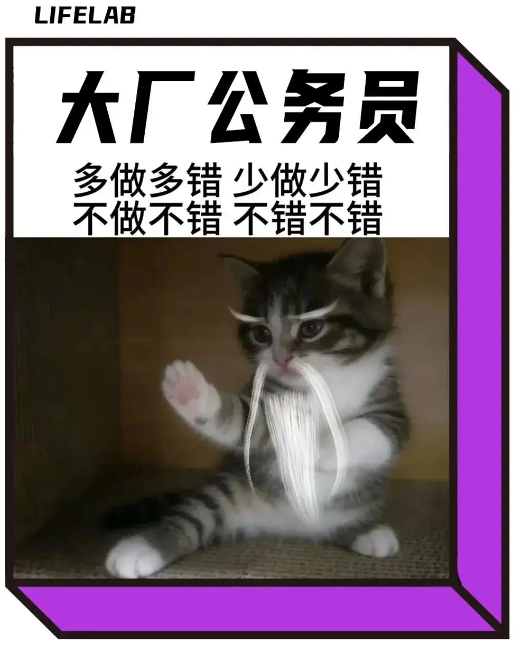 北上广最夯人设：大厂公务员