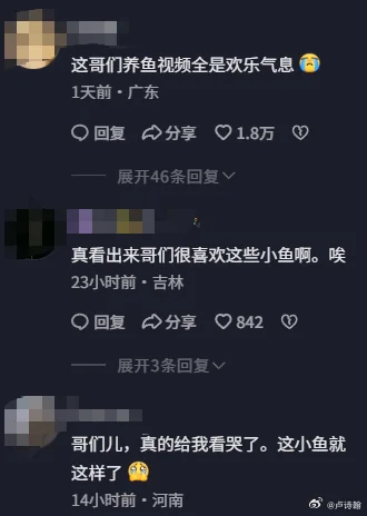2.webp