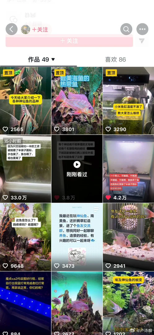 鱼缸面粉事件，被称为邹市明来了也要缓口气