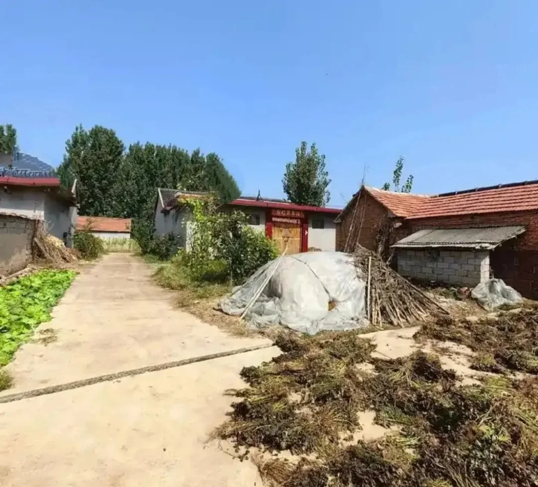 这个分析就挺农村的